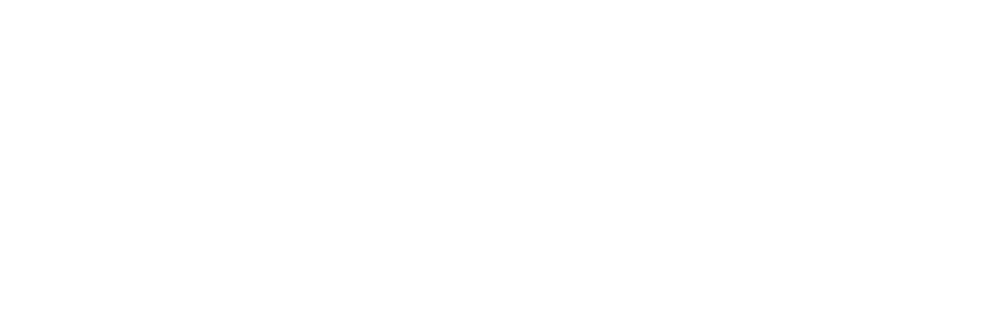 Şanal Kırşehir Logo